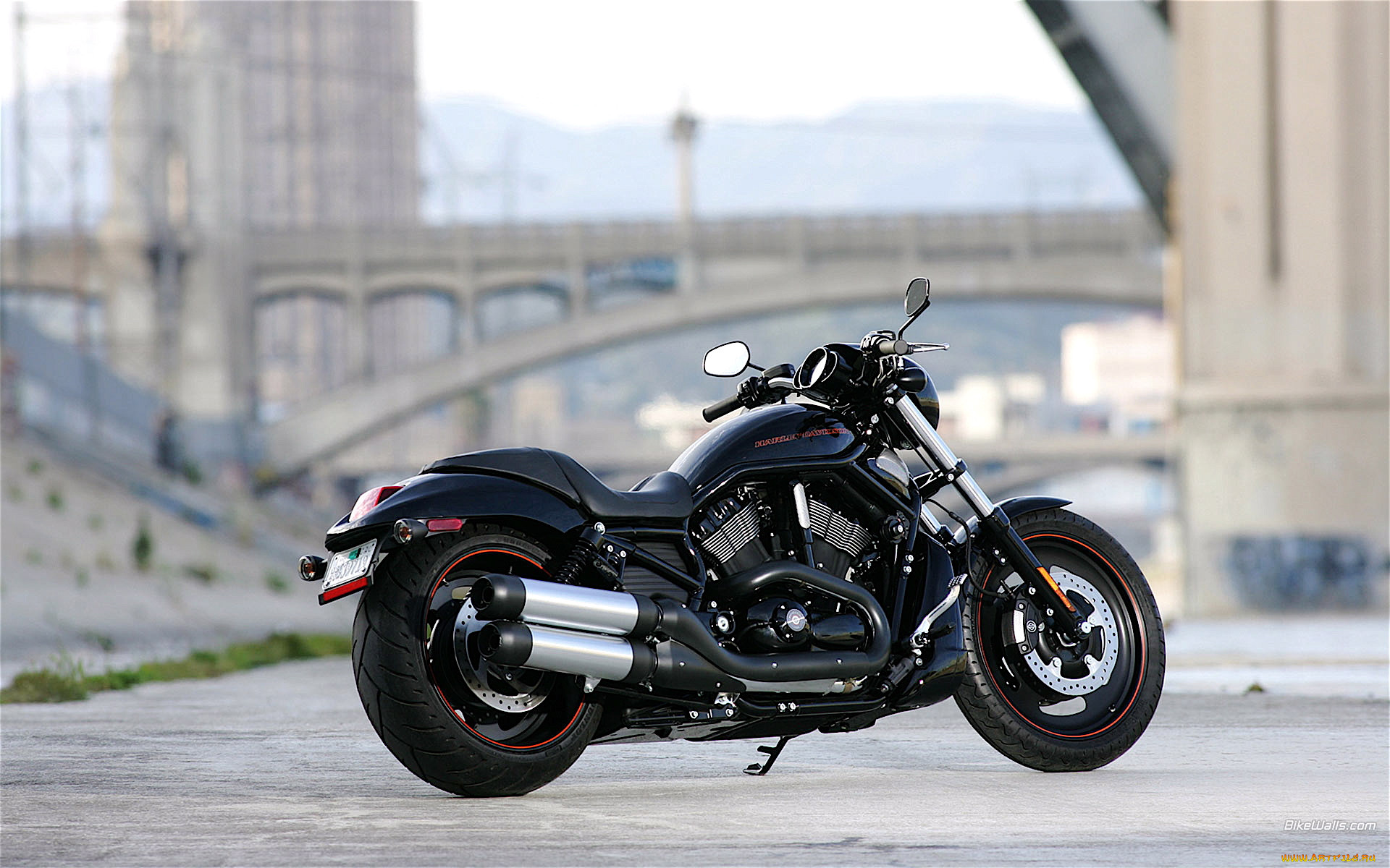 harley, davidson, vrscdx, 